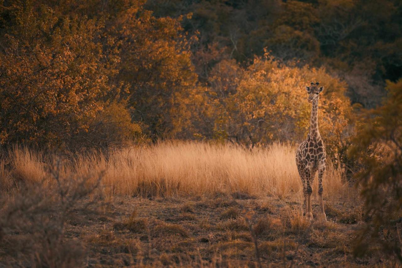 Leshiba Wilderness Vila Louis Trichardt Exterior foto